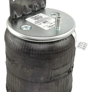 Bolsa De Aire Goodyear 1R12-401